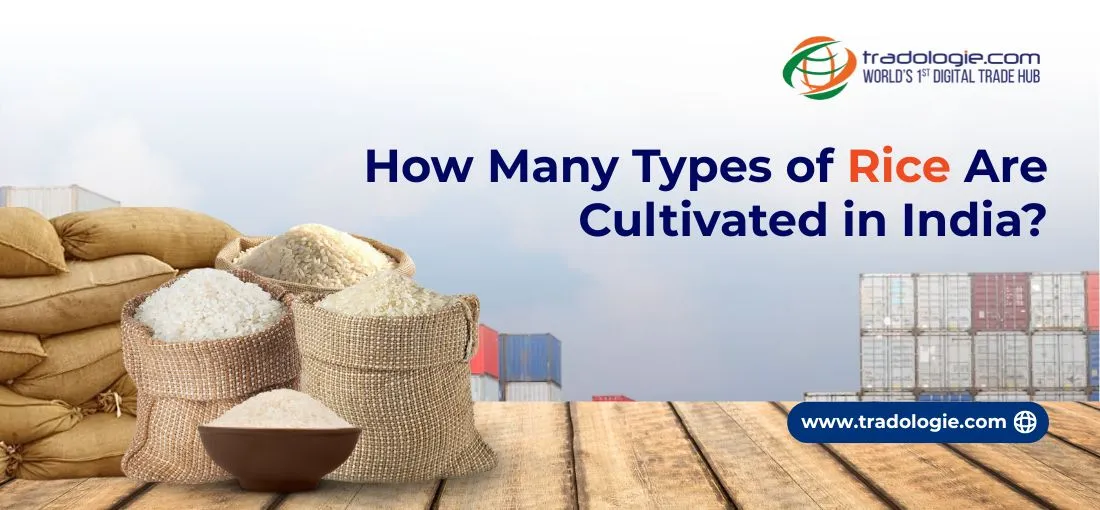 How Many Types of Rice Are Cultivated in India?