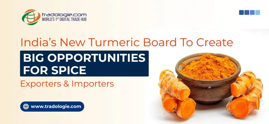 India’s New Turmeric Board To Create Big Opportunities for Spice Exporters & Importers
