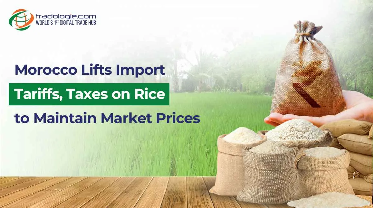 Morocco Lifts Import Tariffs, Taxes on Rice to Maintain Market Prices