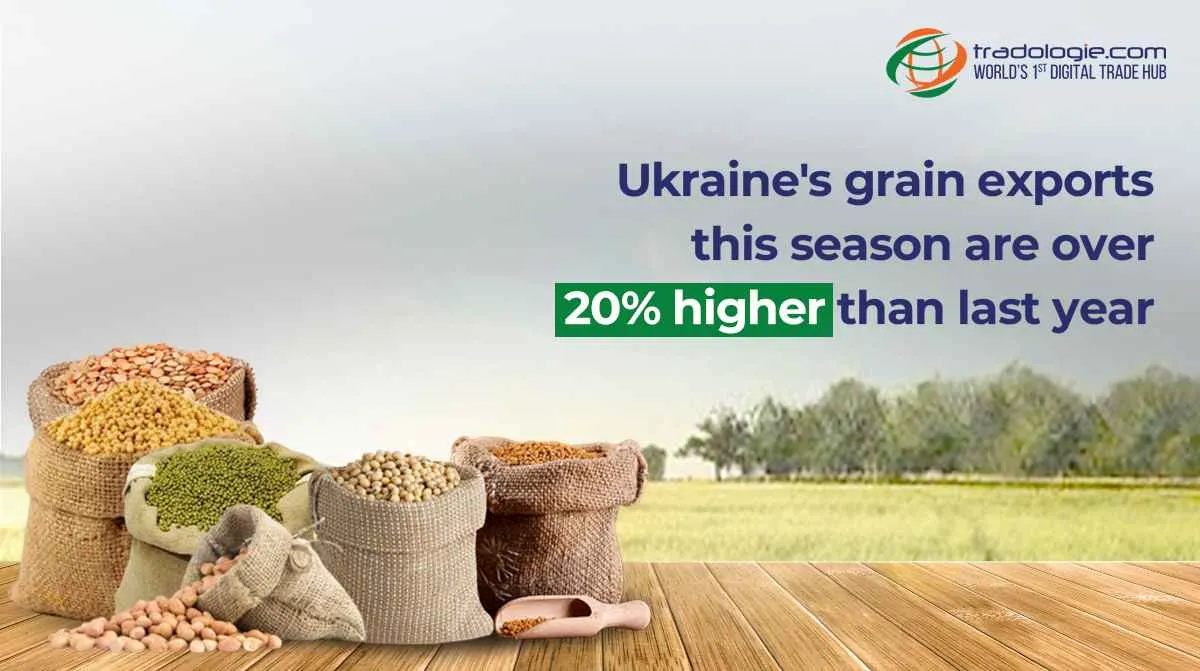 Ukraine's Grain Exports This Season Are Over 20% Higher Than Last Year