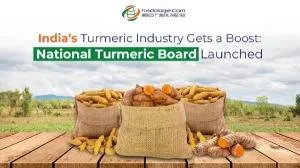India's Turmeric Industry Gets a Boost: National Turmeric Board Launched
