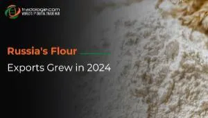 Russia's Flour Exports Had Grown In 2024