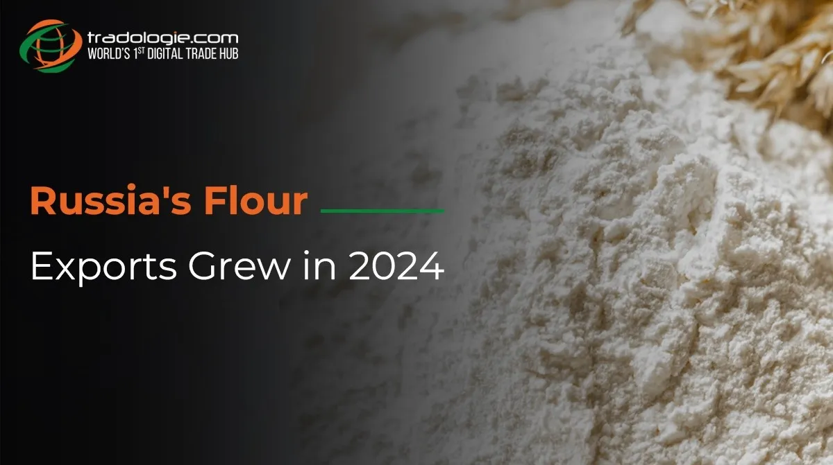 Russia's Flour Exports Had Grown In 2024 Russia's Flour Exports Had Grown In 2024