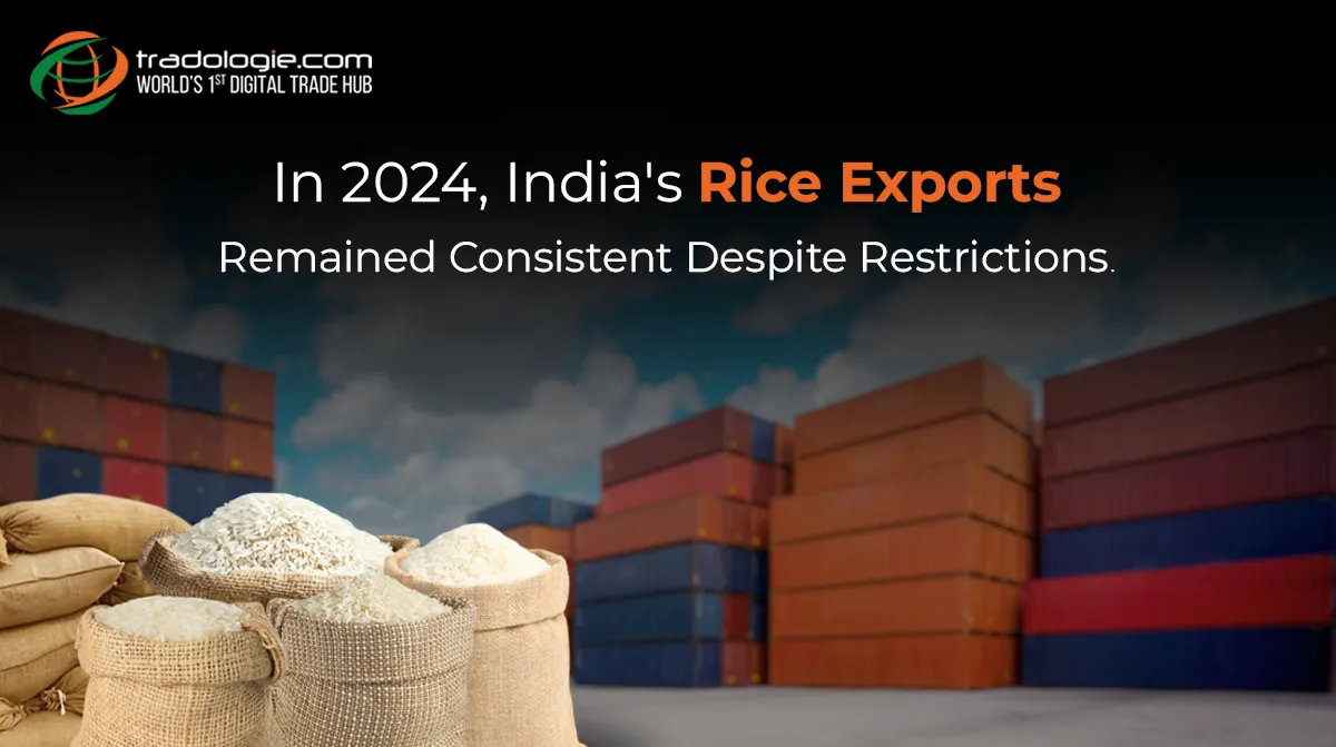 In 2024, India's Rice Exports Remained Consistent Despite Restrictions