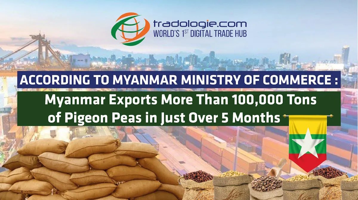 According To Myanmar Ministry Of Commerce : Myanmar Exports More Than 100,000 Tons Of Pigeon Peas In Just Over 5 Months