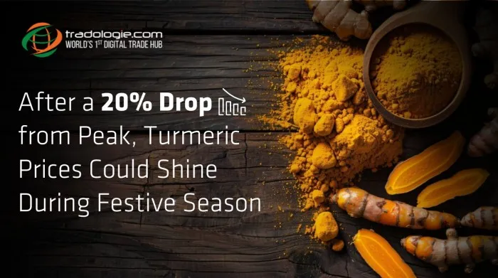 After a 20% Drop from Peak, Turmeric Prices Could Shine During Festive Season