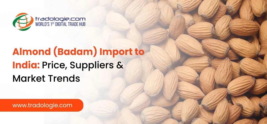 Almond (Badam) Import to India: Complete Guide on Price, Suppliers & Market Trends