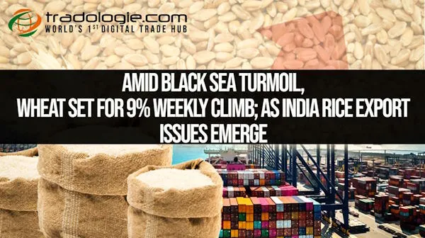 Amid Black Sea Turmoil, Wheat Set For 9% Weekly Climb; As India Rice Export Issues Emerge