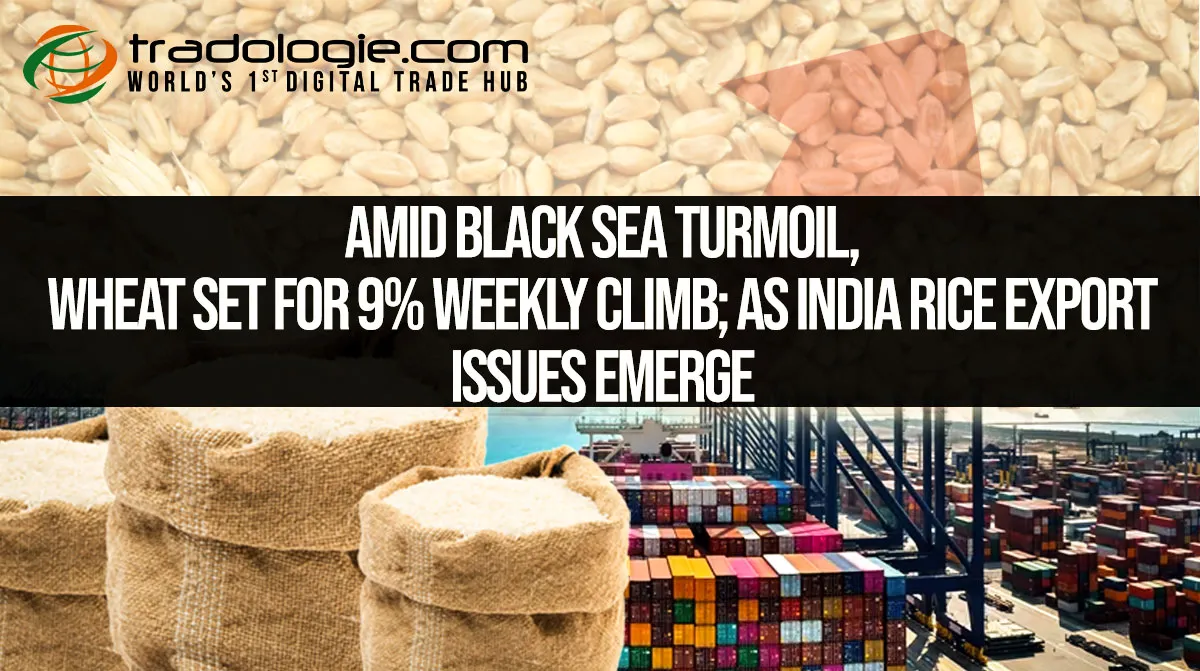 Amid Black Sea Turmoil, Wheat Set For 9% Weekly Climb; As India Rice Export Issues Emerge