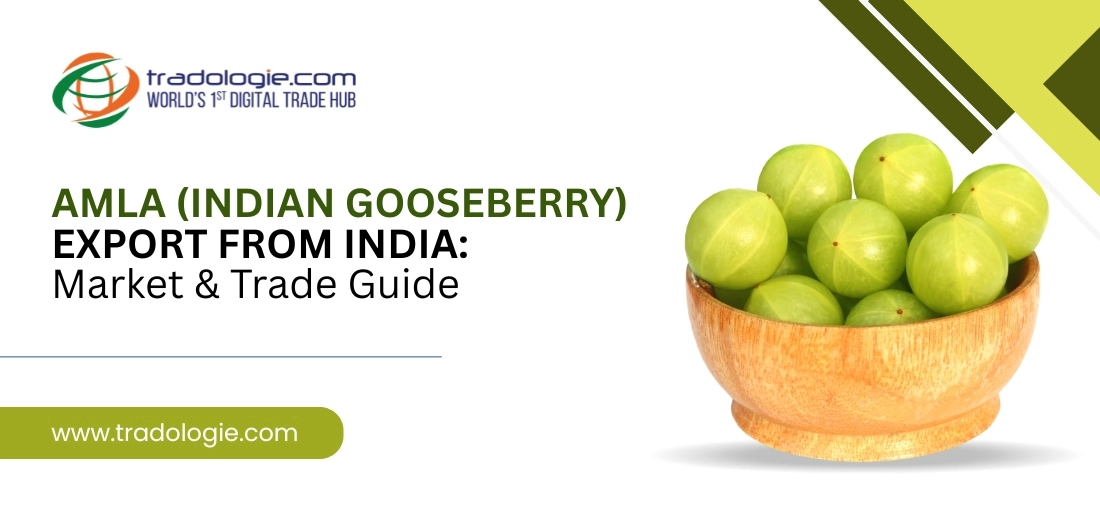 Amla (Indian Gooseberry) Export from India: Market & Trade Guide 2026