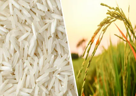 Andalan Shakti Pvt Ltd