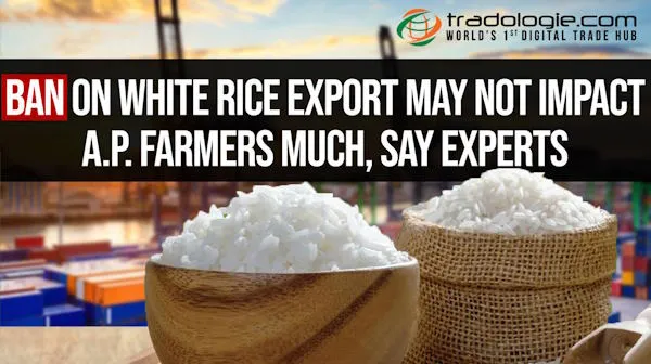 Ban On White Rice Export May Not Impact A.P. Farmers Much, Say Experts