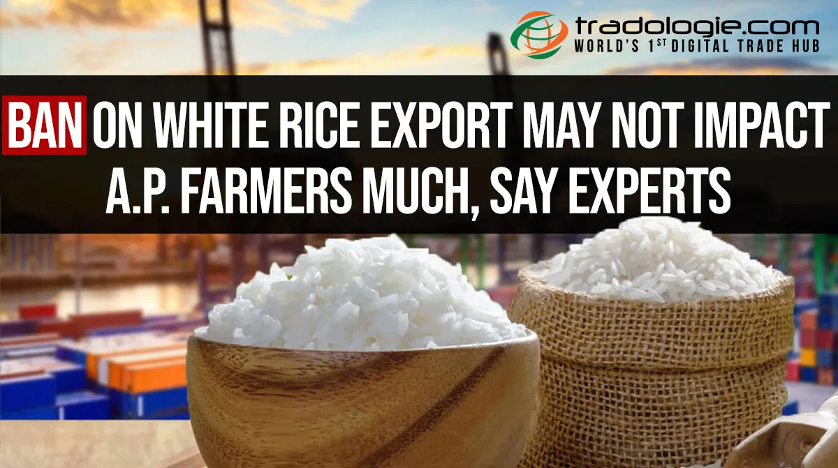 Ban On White Rice Export May Not Impact A.P. Farmers Much, Say Experts