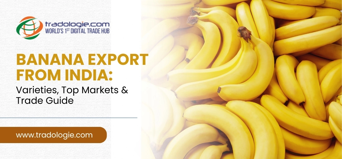 Banana Export From India: Varieties, Top Markets And Trade Guide