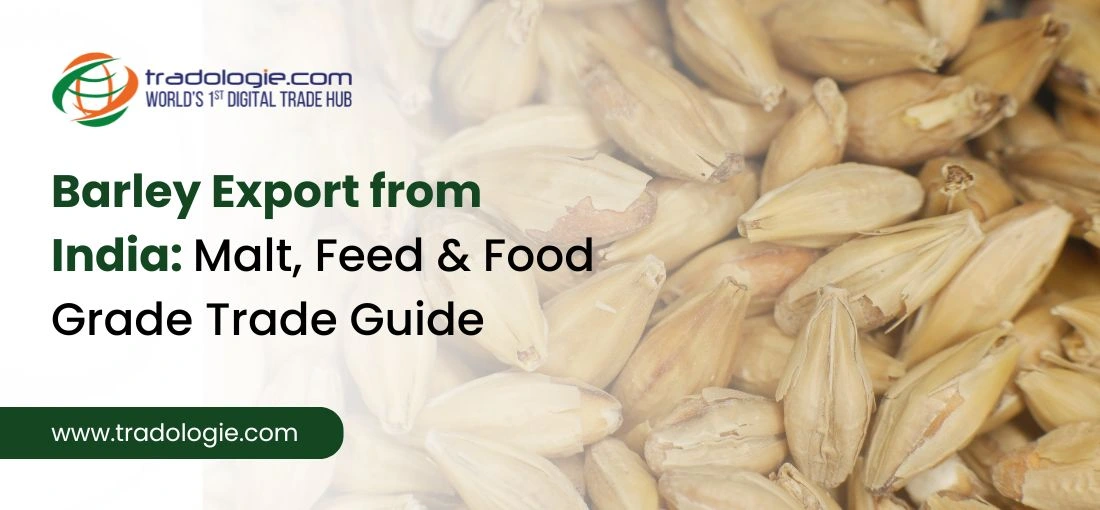 India Barley Market 2026: Import Dynamics, Domestic Pricing & Food-Grade Export Opportunities