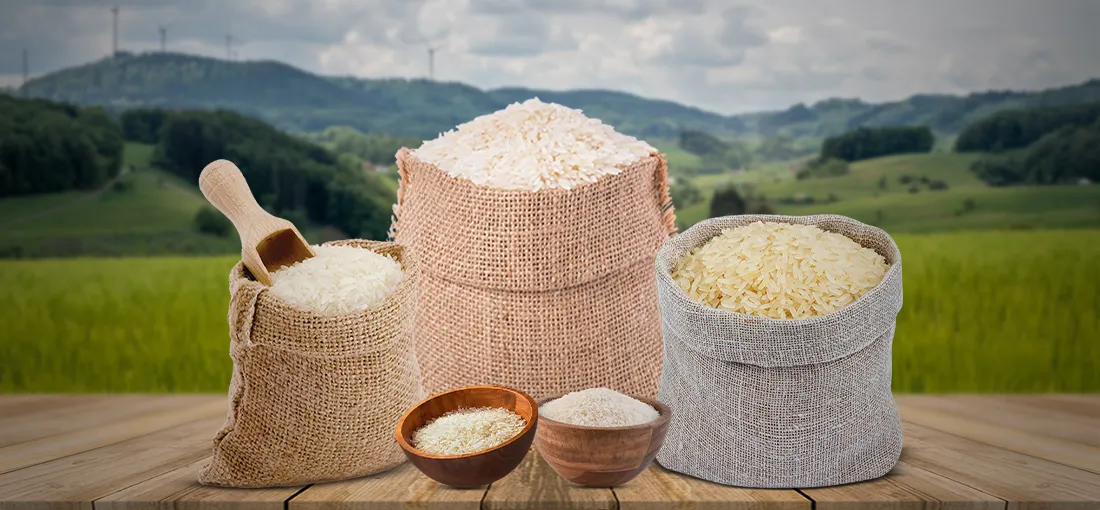 AB Msqaure Psqaure Home Appliances