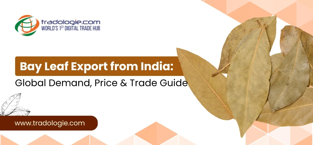 Bay Leaf Export from India: Global Demand, Price & Trade Guide