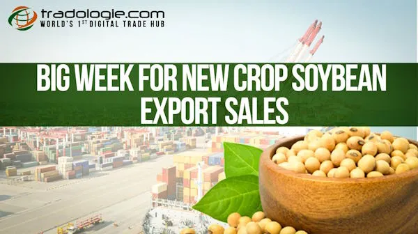 Big Week For New Crop Soybean Export Sales