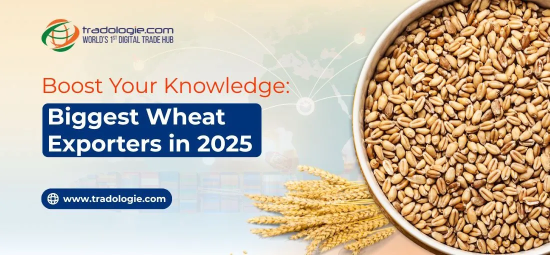 Boost Your Knowledge: Biggest Wheat Exporters in 2025 Boost Your Knowledge: Biggest Wheat Exporters in 2025