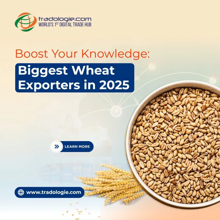 Boost Your Knowledge: Biggest Wheat Exporters in 2025