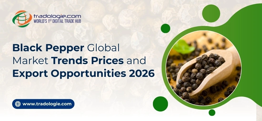 Black Pepper Global Market Trends Prices and Export Opportunities 2026