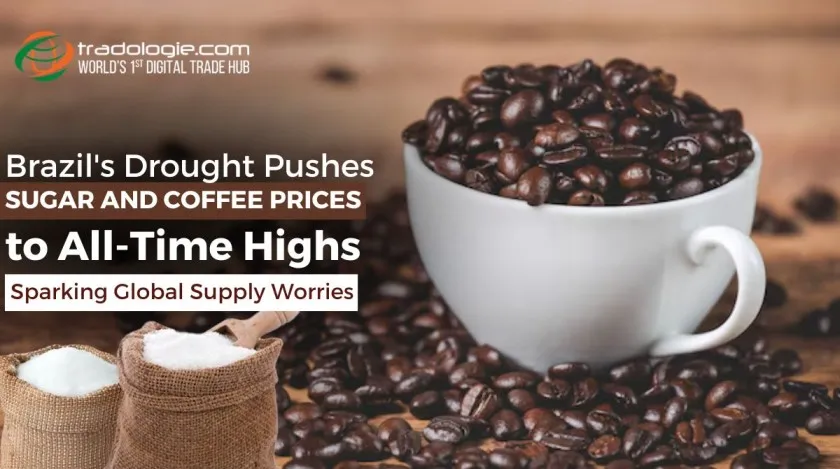 Brazil Drought Pushes Sugar and Coffee Prices to All-Time Highs, Sparking Global Supply Worries Brazil Drought Pushes Sugar and Coffee Prices to All-Time Highs, Sparking Global Supply Worries