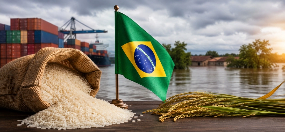 Brazil removes Rice Import Tariffs Until Year-End Due to Floods