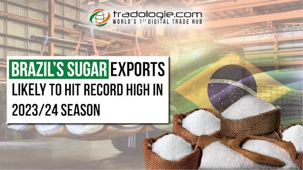 Brazil’s sugar exports likely to hit record high in 2023/24 season