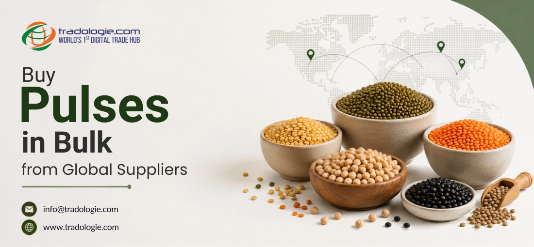 Buy Pulses in Bulk from Global Suppliers