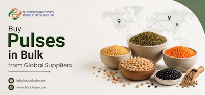 Buy Pulses in Bulk from Global Suppliers