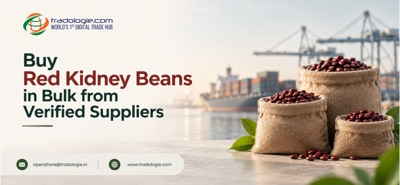 Buy Red Kidney Beans in Bulk