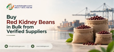 Buy Red Kidney Beans in Bulk