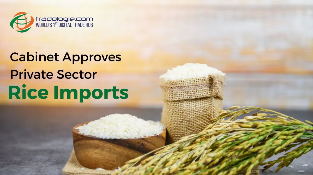 Cabinet Approves Private Sector Rice Imports Cabinet Approves Private Sector Rice Imports