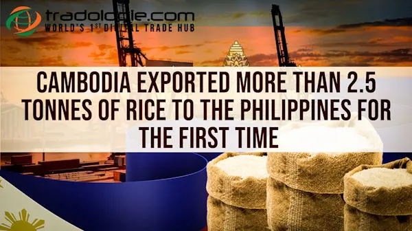 Cambodia Exported More Than 2.5 Million Tonnes Of Rice To The Philippines