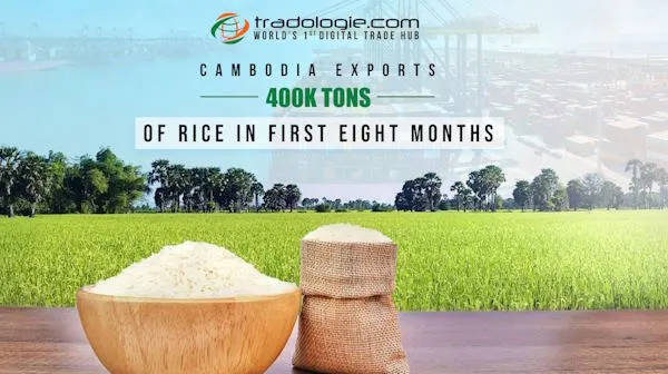 Cambodia Exports 400K Tons of Rice in First Eight Months