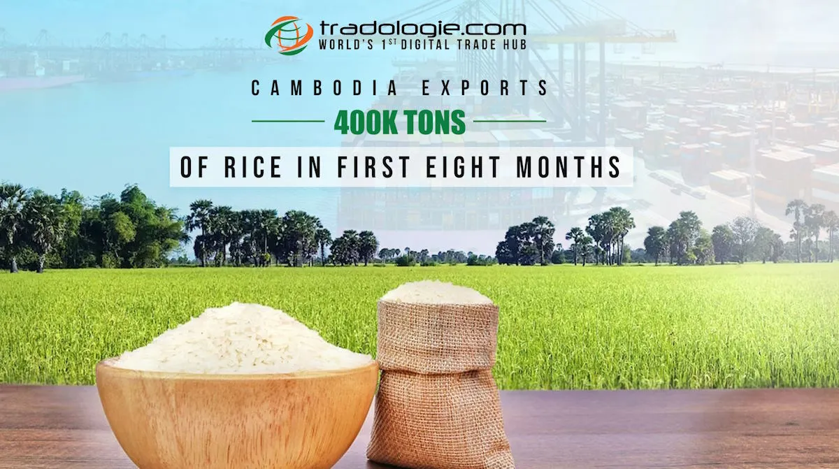 Cambodia Exports 400K Tons of Rice in First Eight Months