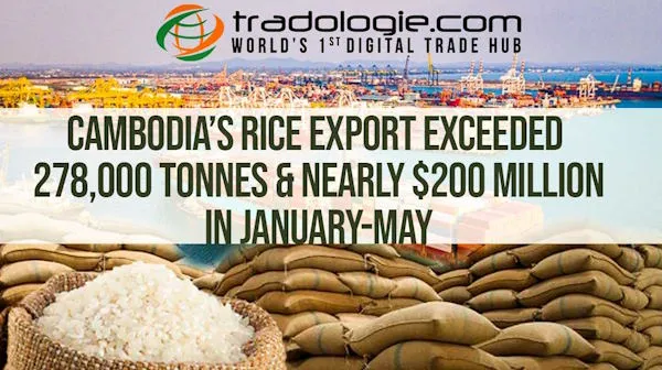 Cambodia Rice Export Exceeded 278,000 Tonnes