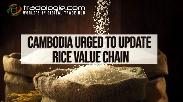 Cambodia Urged To Update Rice Value Chain