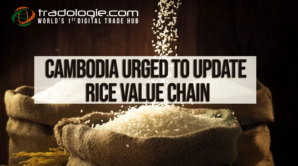 Cambodia Urged To Update Rice Value Chain
