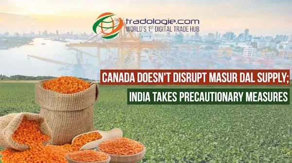 Canada Doesn't Disrupt Masur Dal Supply; India Takes Precautionary Measures