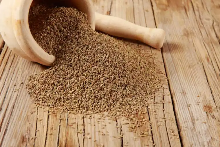 Carom Seeds