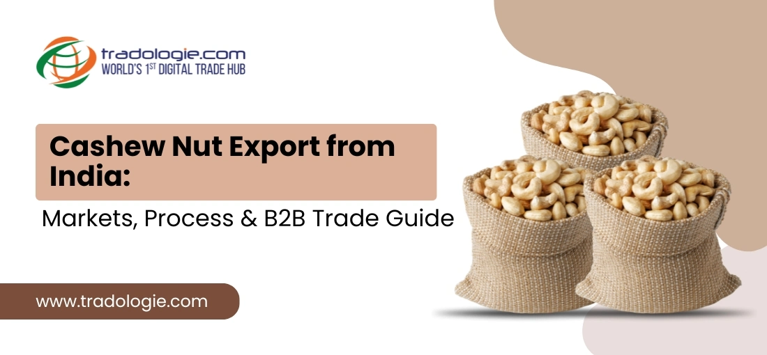 Cashew Nut Export from India: Markets, Process & B2B Trade Guide