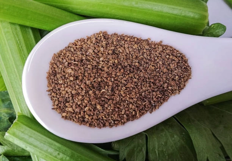 CELERY SEED