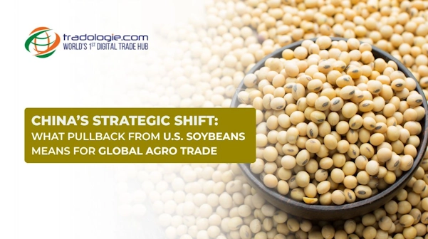 China’s Strategic Shift: What Pullback from U.S. Soybeans Means for Global Agro Trade
