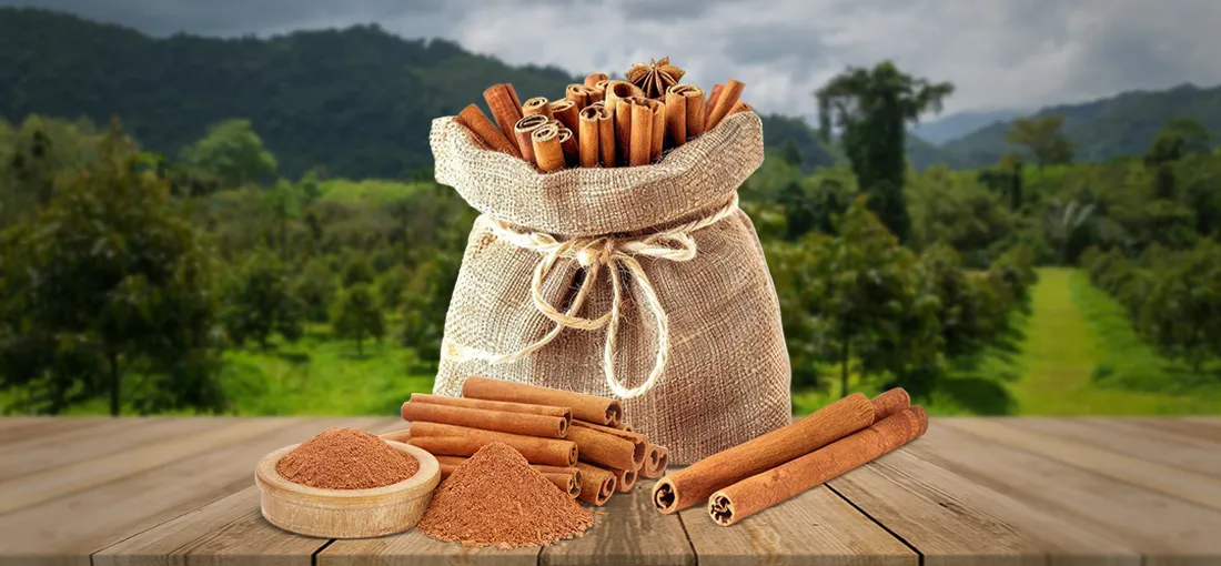 Cinnamon Trade