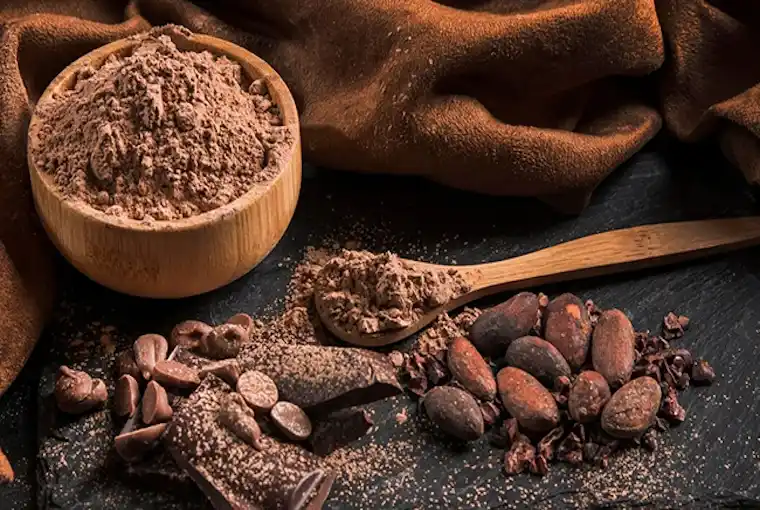COCOA POWDER 10 TO 12% FAT