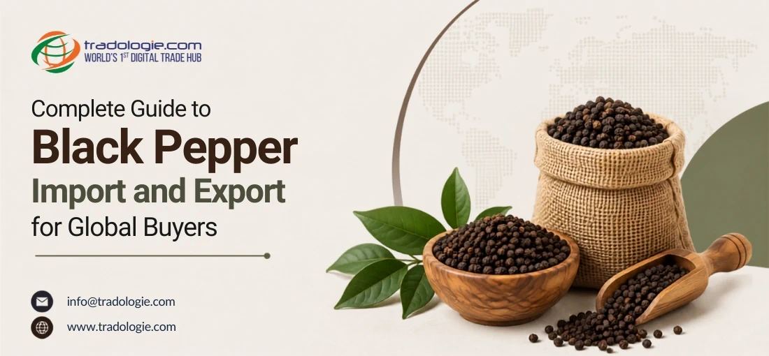Complete Guide to Black Pepper Import and Export for Global Buyers