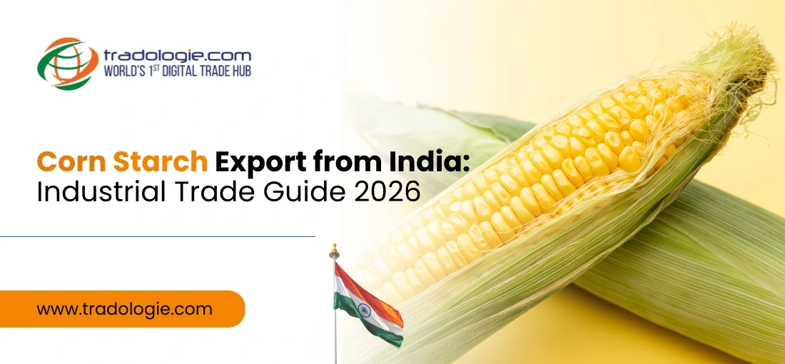 Corn Starch Export from India