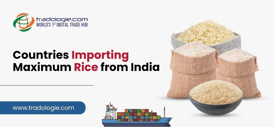 Countries Importing Maximum Rice from India (2026 Market Insights)