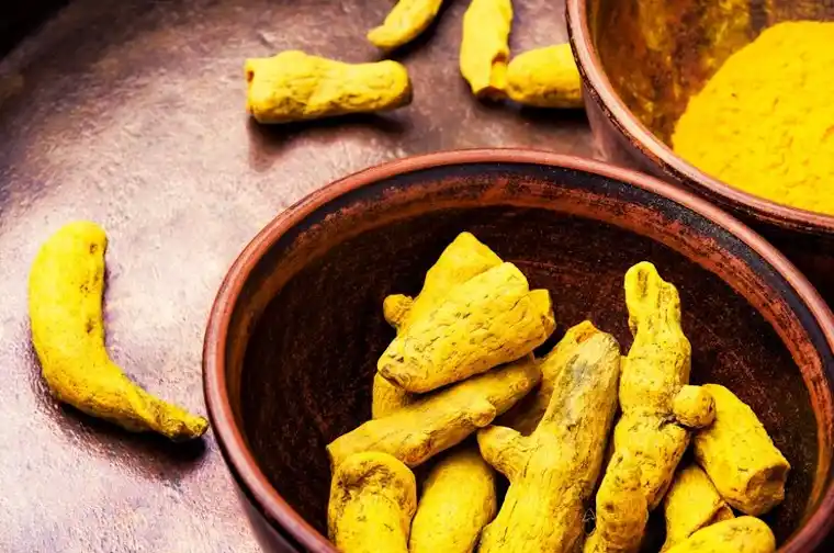 CURCUMA TURMERIC FINGER